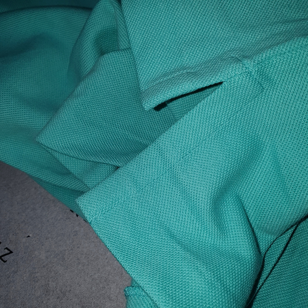 Polo Ralph Lauren Masculina Verde Água Pony Rosa