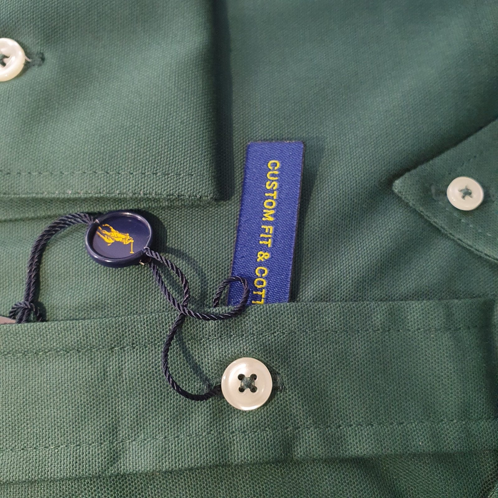 Camisa Ralph Lauren Masculina Oxford Verde Floresta Pony Colorido
