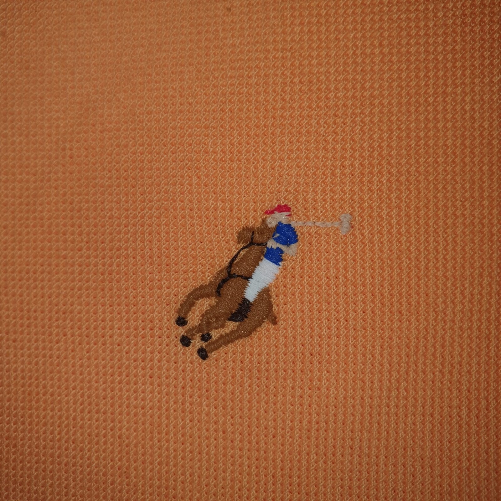 Polo Ralph Lauren Masculina Abóbora Pony Colorido