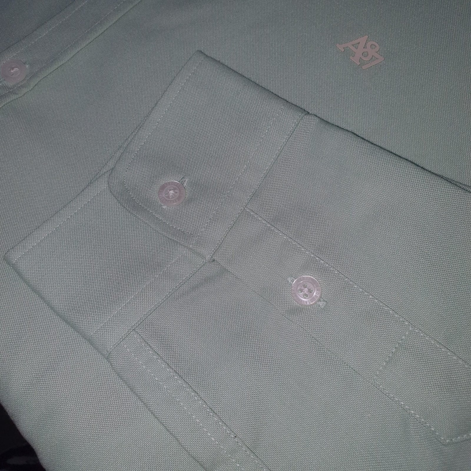Camisa Ralph Lauren Masculina Oxford Fino Aeropostale Verde Água