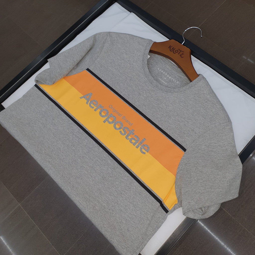 Camiseta Aeropostale Masculina Cinza Gelo Estampa Centralizada
