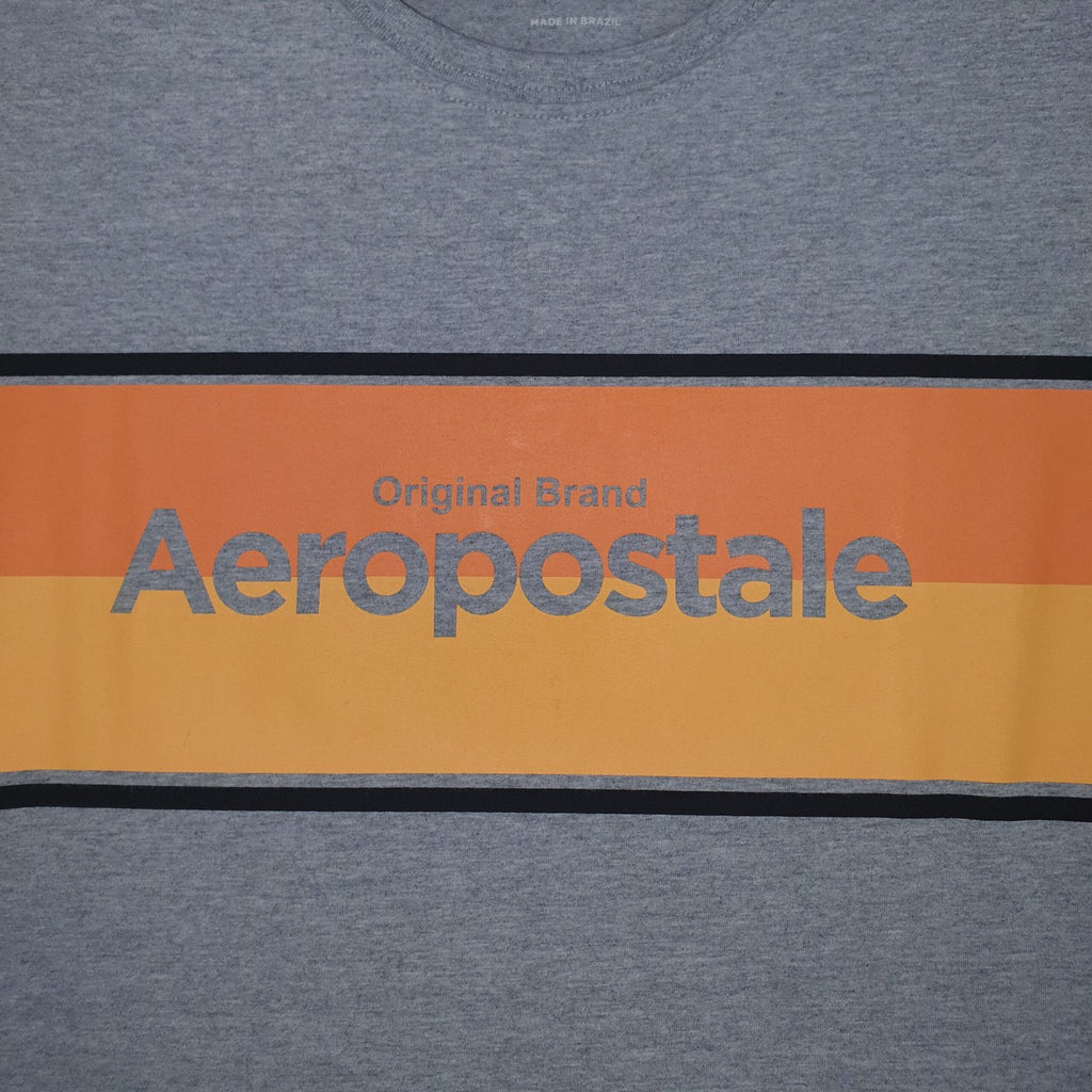 Camiseta Aeropostale Masculina Cinza Gelo Estampa Centralizada