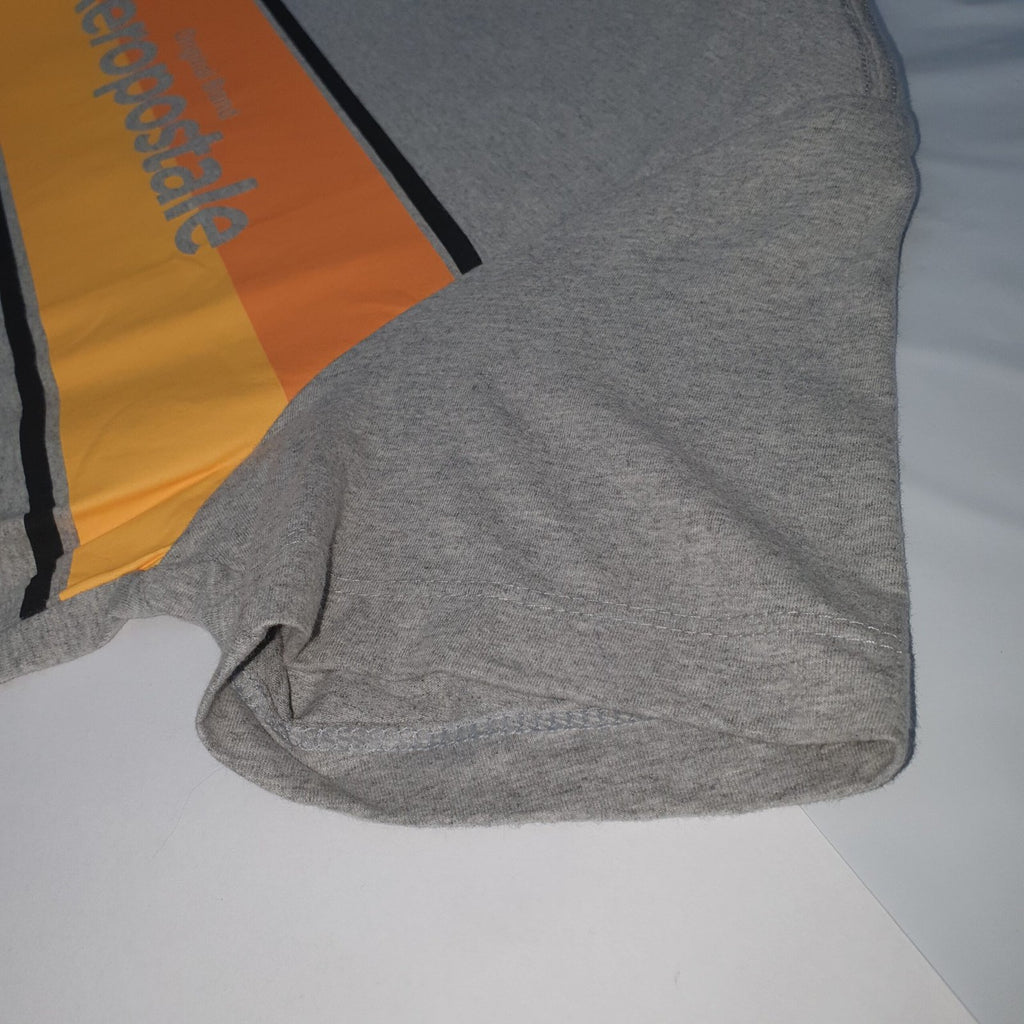 Camiseta Aeropostale Masculina Cinza Gelo Estampa Centralizada