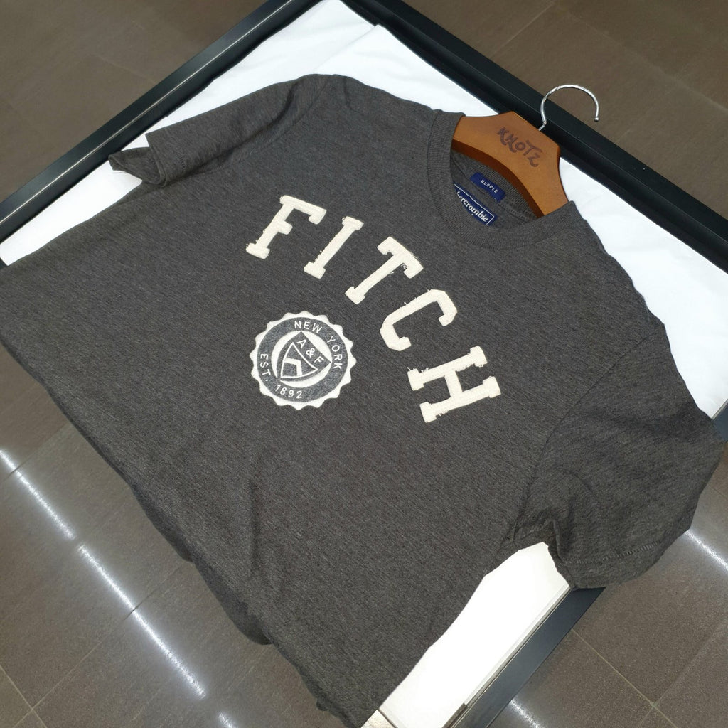 Camiseta Abercrombie Masculina Chumbo Estampa Fitch
