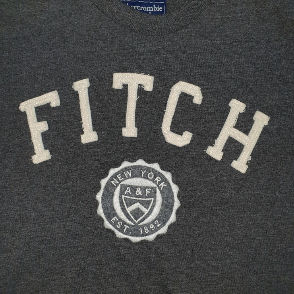 Camiseta Abercrombie Masculina Chumbo Estampa Fitch