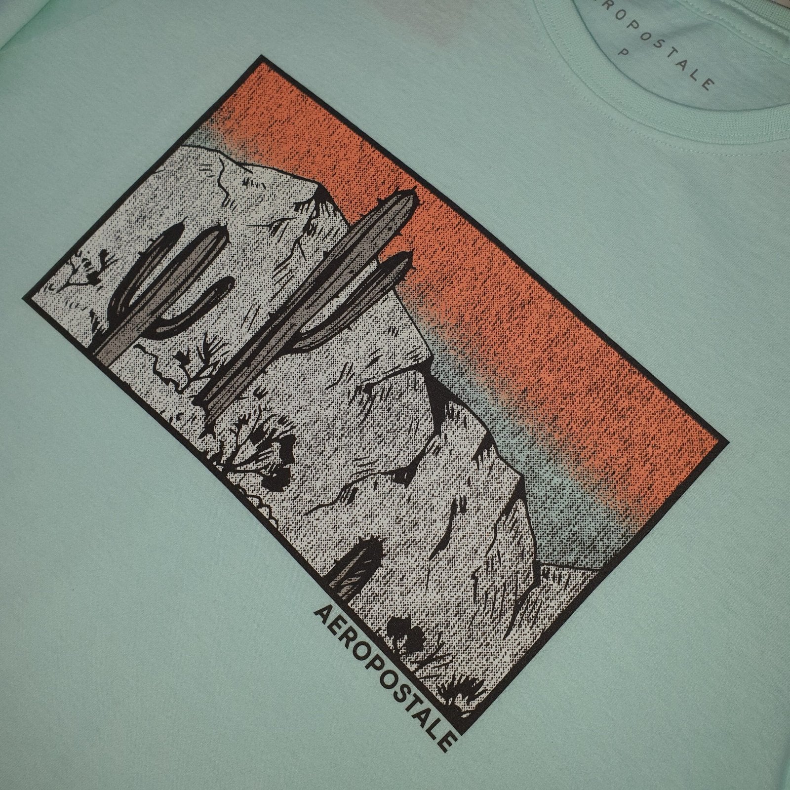 Camiseta Aeropostale Masculina Verde Água Estampa Cactus