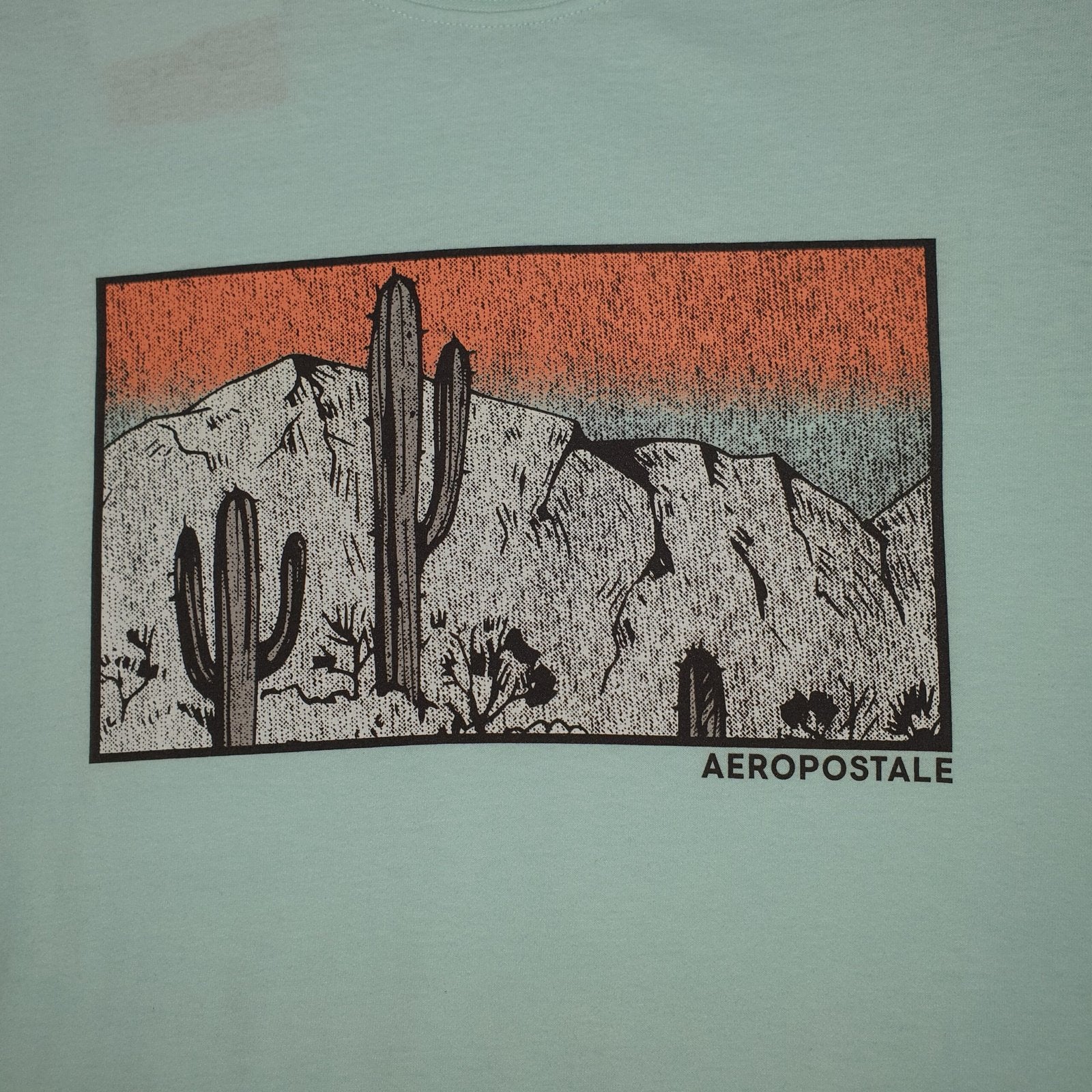 Camiseta Aeropostale Masculina Verde Água Estampa Cactus