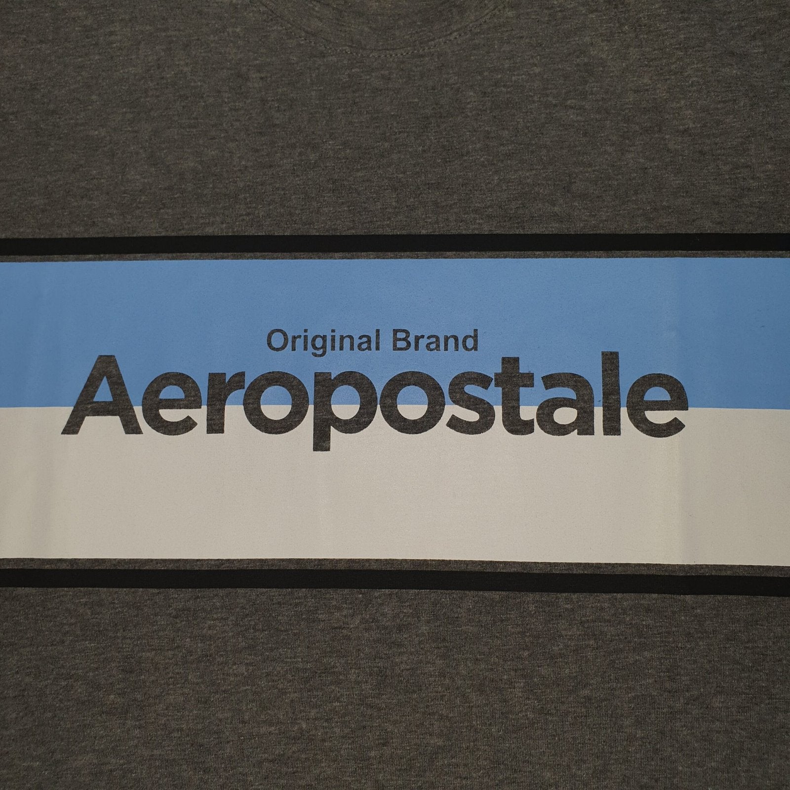 Camiseta Aeropostale Masculina Chumbo Estampa Centralizada Azul e Branco