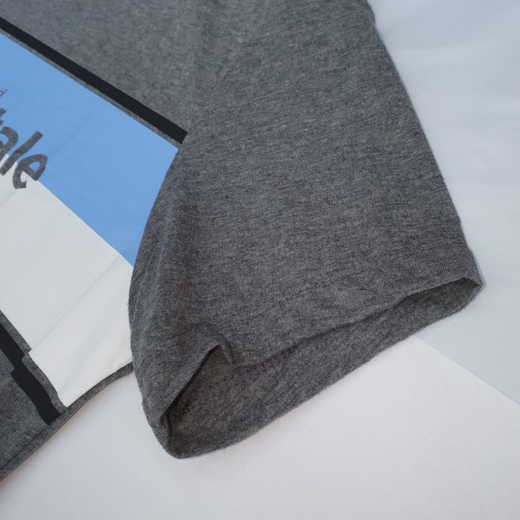 Camiseta Aeropostale Masculina Chumbo Estampa Centralizada Azul e Branco