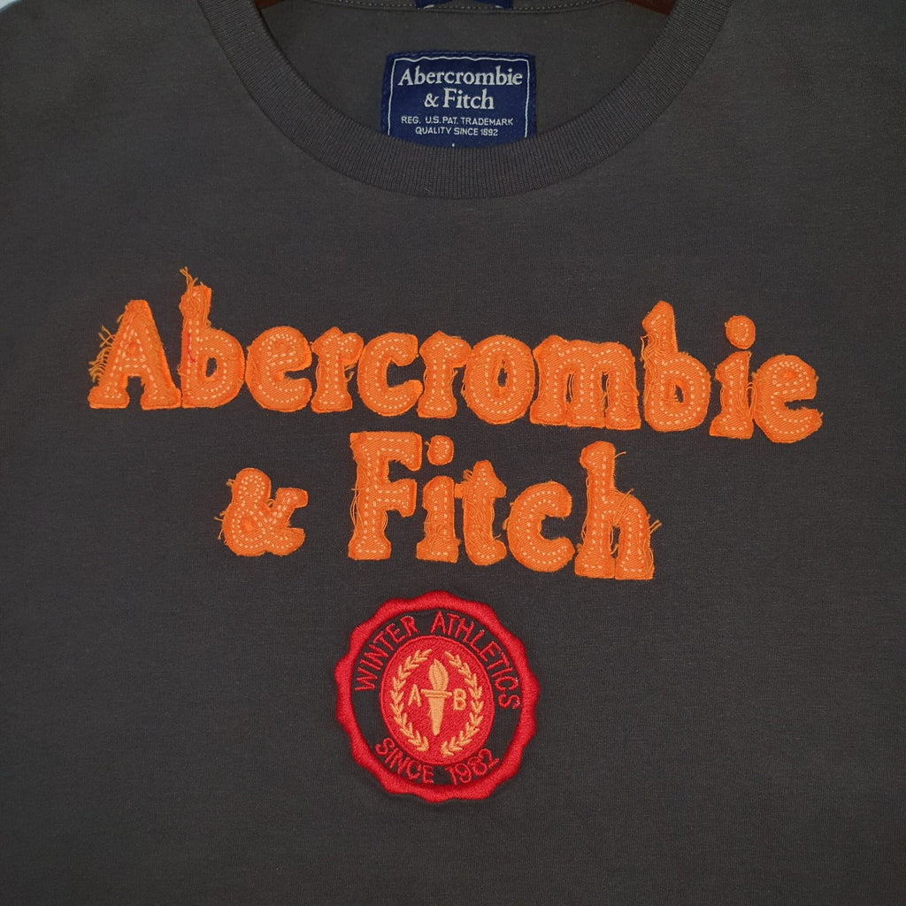 Camiseta Abercrombie Masculina Cinzenta Estampa Tocha Dourada