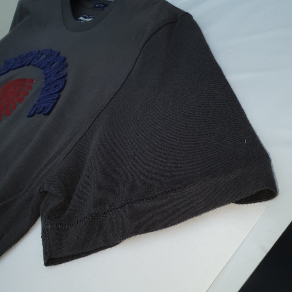 Camiseta Abercrombie Masculina Chumbo Estampa Índio Colorado