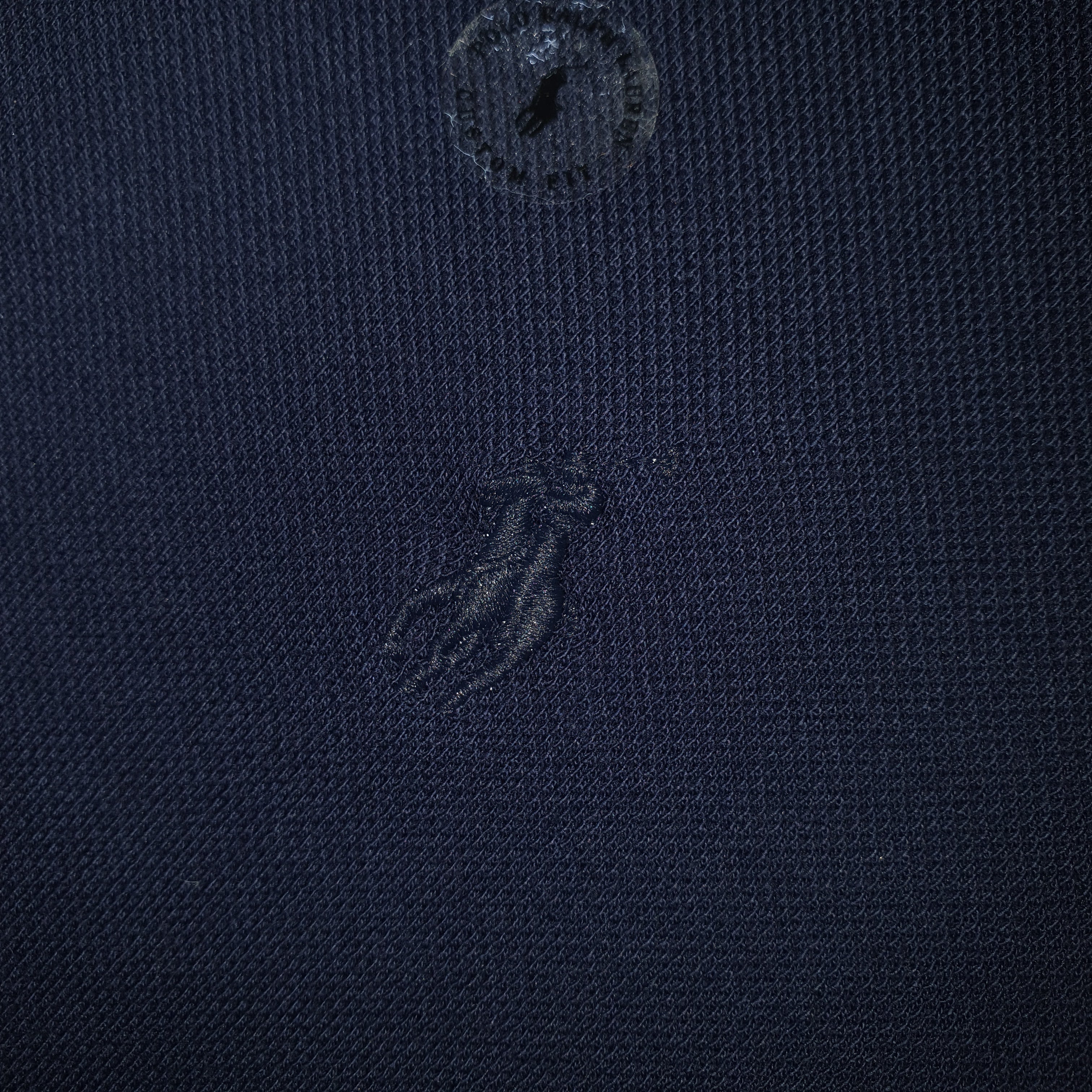 Polo Ralph Lauren Masculina Marinho Colarinho Italiano Monocromática