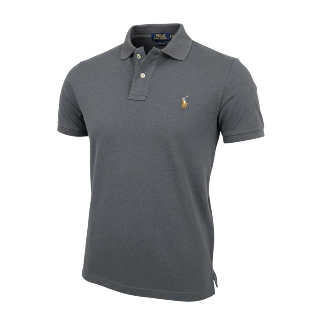 Polo Ralph Lauren Masculina Chumbo Pony Colorido