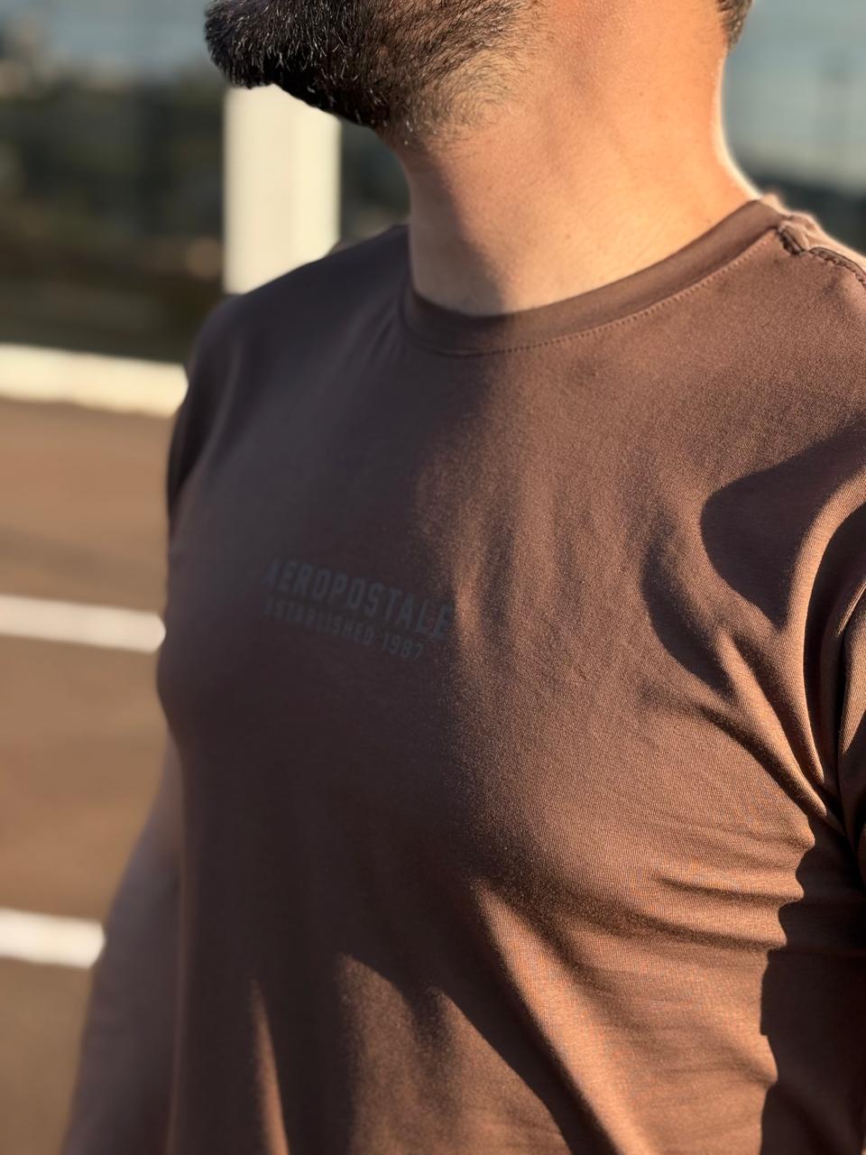 Camiseta Aeropostale Masculina Marrom Estampa Minimalista Tecido Pima