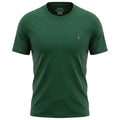 Camiseta Básica Masculina Supima Siliconada Ralph Lauren Verde Pony Colorido
