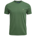 Camiseta Básica Ralph Lauren Masculina Verde Pony Colorido