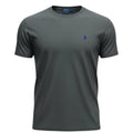 Camiseta Básica Ralph Lauren Masculina Cinzenta Pony Marinho