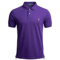 Polo Ralph Lauren Masculina Roxa Pony Colorido