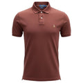 Polo Ralph Lauren Masculina Caramelo Escuro Pony Colorido