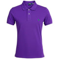 Polo Ralph Lauren Masculina Roxa Pony Verde
