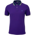 Polo Ralph Lauren Masculina Roxa Detalhada Pony Azul