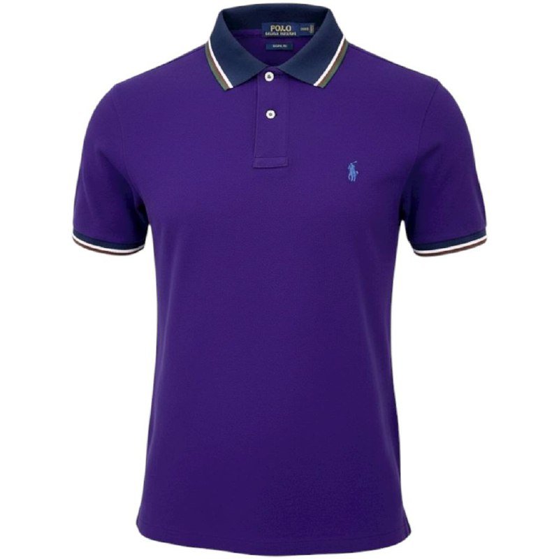 Polo Ralph Lauren Masculina Roxa Detalhada Pony Azul