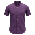 Camisa Ralph Lauren Masculina Manga Curta Micro Xadrez Roxo Pony Amarelo