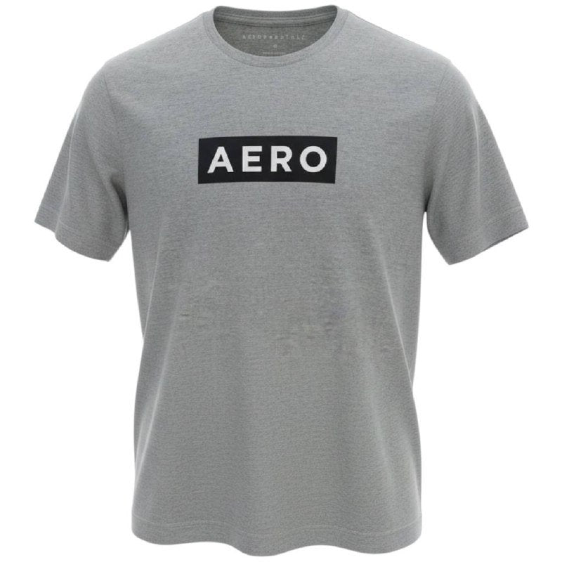 Camiseta Aeropostale Masculina Cinza Estampa Clássica