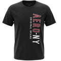 Camiseta Aeropostale Masculina Preta Estampa Vertical NY