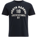 Camiseta Abercrombie Masculina Petróleo Estampa NY