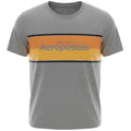 Camiseta Aeropostale Masculina Cinza Gelo Estampa Centralizada