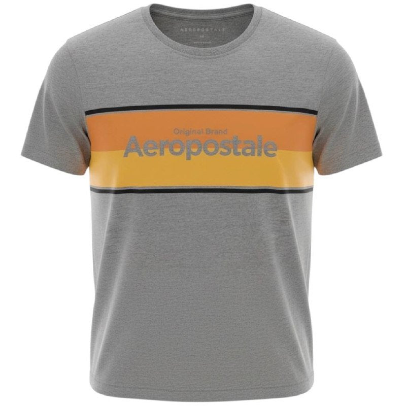Camiseta Aeropostale Masculina Cinza Gelo Estampa Centralizada
