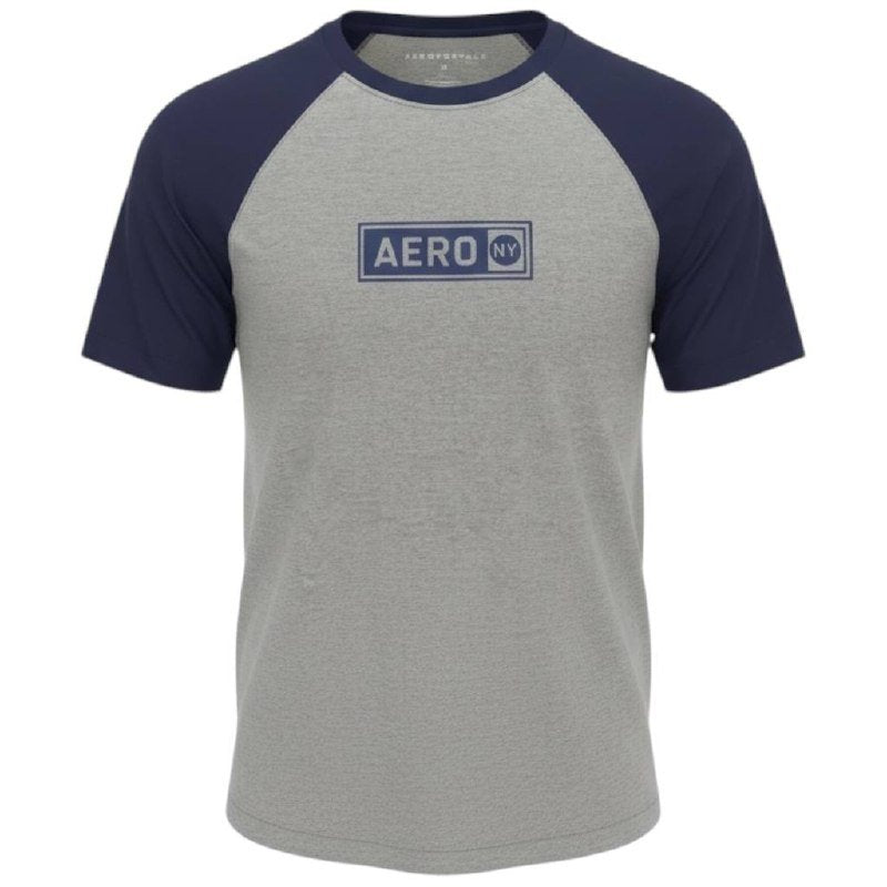 Camiseta Aeropostale Masculina Cinza Multicolor Estampa Clássica
