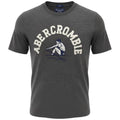 Camiseta Abercrombie Masculina Chumbo Estampa Esportista