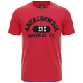 Camiseta Abercrombie Masculina Vermelha Estampa Phisical