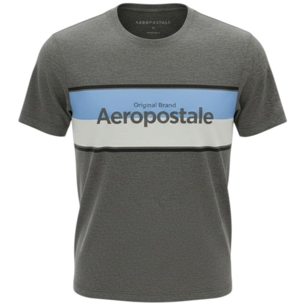 Camiseta Aeropostale Masculina Chumbo Estampa Centralizada Azul e Branco