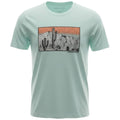 Camiseta Aeropostale Masculina Verde Água Estampa Cactus