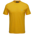 Camiseta Básica Ralph Lauren Masculina Amarela Pony Azul Neon