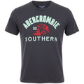 Camiseta Abercrombie Masculina Grafite Estampa Southern 92