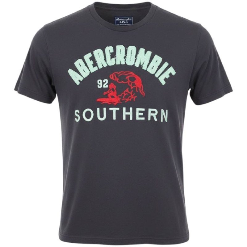Camiseta Abercrombie Masculina Grafite Estampa Southern 92