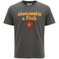 Camiseta Abercrombie Masculina Cinzenta Estampa Tocha Dourada