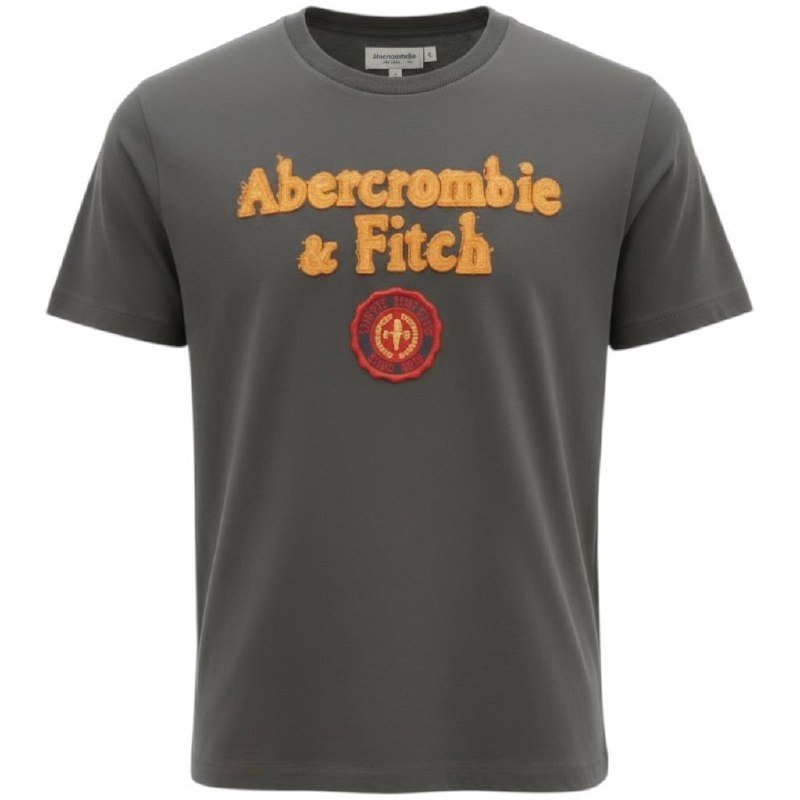 Camiseta Abercrombie Masculina Cinzenta Estampa Tocha Dourada