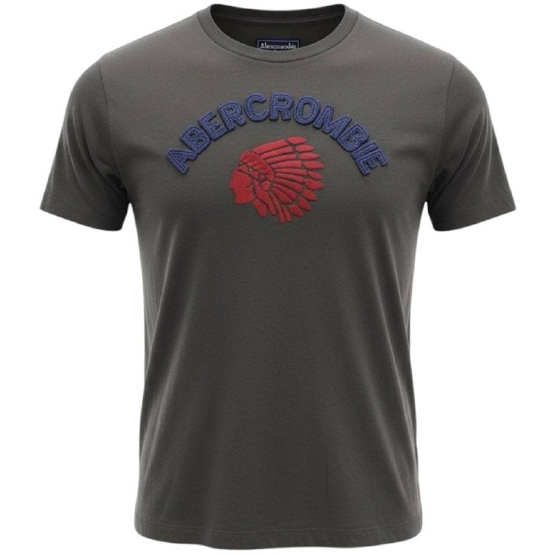 Camiseta Abercrombie Masculina Chumbo Estampa Índio Colorado