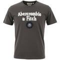 Camiseta Abercrombie Masculina Cinzenta Estampa Tocha Atlética