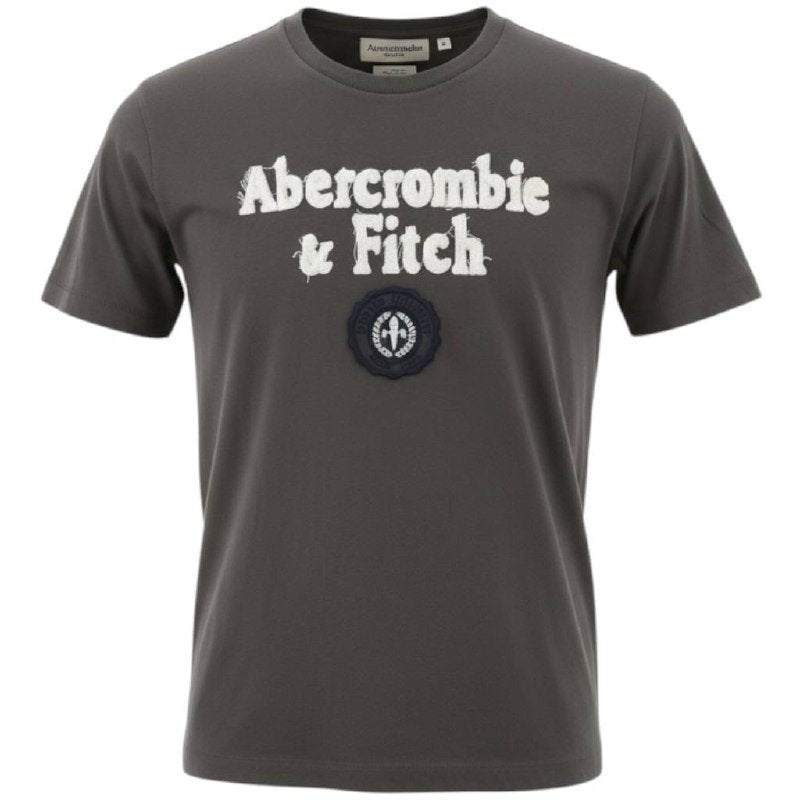 Camiseta Abercrombie Masculina Cinzenta Estampa Tocha Atlética