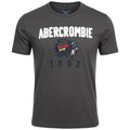 Camiseta Abercrombie Masculina Chumbo Estampa Índio 1892