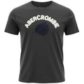 Camiseta Abercrombie Masculina Chumbo Estampa Índio cor Petróleo