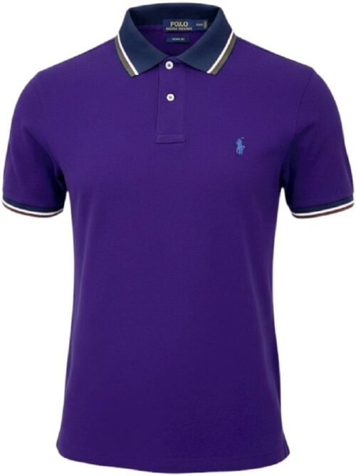 Polo Ralph Lauren Masculina Roxa Detalhada Pony Azul