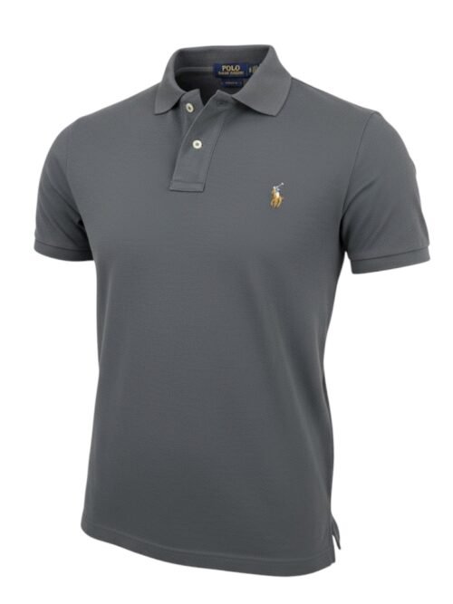 Polo Ralph Lauren Masculina Chumbo Pony Colorido