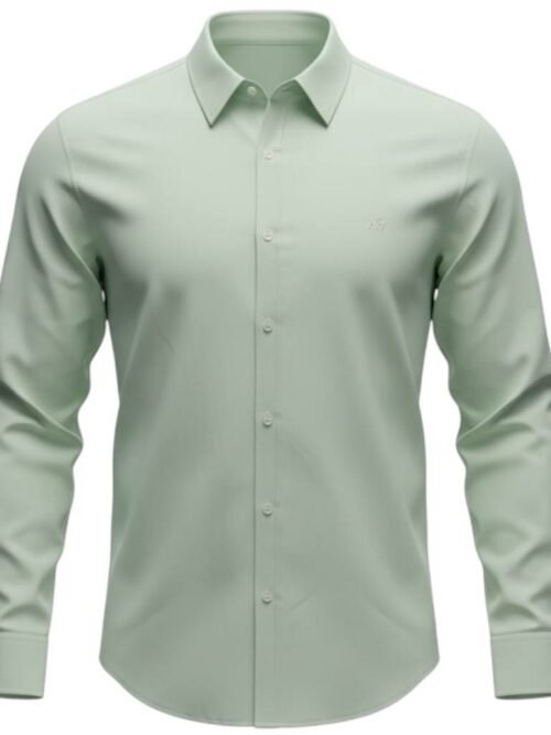 Camisa Ralph Lauren Masculina Oxford Fino Aeropostale Verde Água